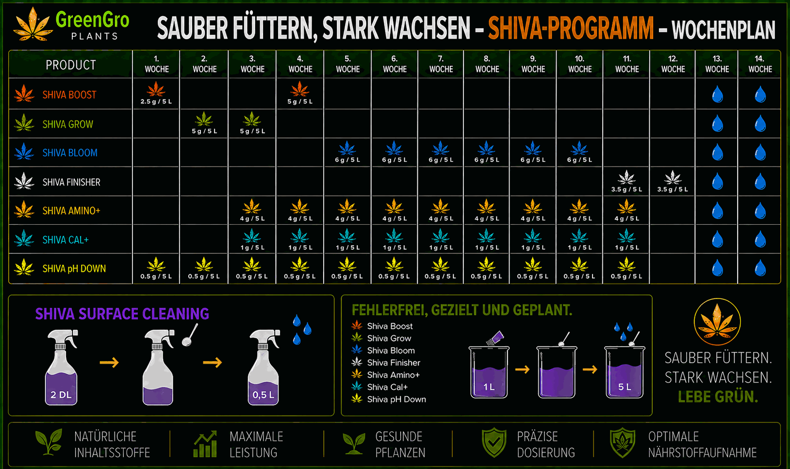 SHIVA-Programm – Wochenplan