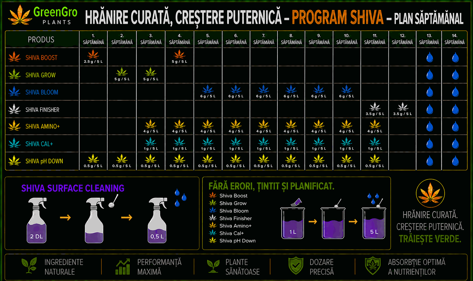 Programul săptămânal SHIVA