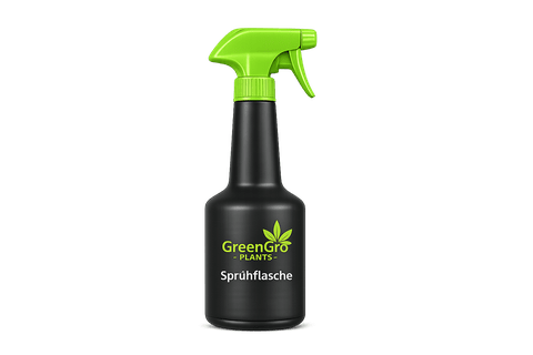 Sprühflasche