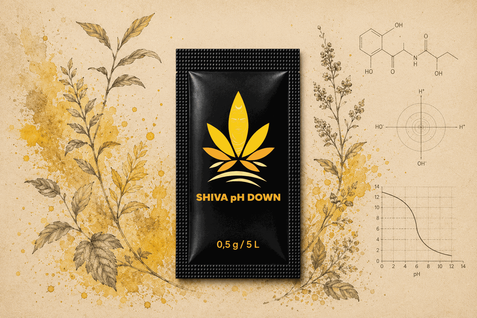 SHIVA pH Down